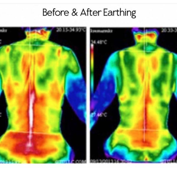 Grounding Results Image